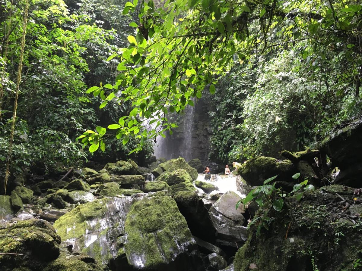 Grand Selva Lodge & Tours Tena Exterior foto