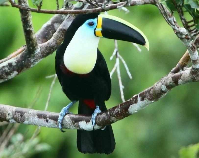 Grand Selva Lodge & Tours Tena Exterior foto