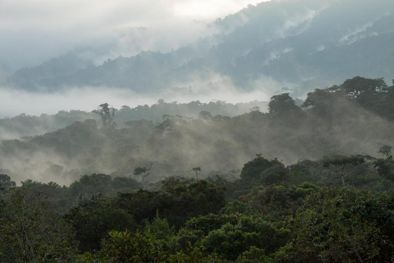 Grand Selva Lodge & Tours Tena Exterior foto